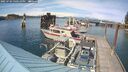 ./images/quadra/hbidock/20250703/hbidock20250703_160510M.jpg