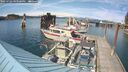 ./images/quadra/hbidock/20250703/hbidock20250703_163000M.jpg