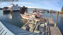./images/quadra/hbidock/20250703/hbidock20250703_184500M.jpg