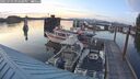./images/quadra/hbidock/20250703/hbidock20250703_212508M.jpg