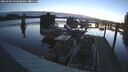 ./images/quadra/hbidock/20250704/hbidock20250704_043008M.jpg