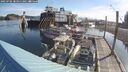 ./images/quadra/hbidock/20250704/hbidock20250704_083011M.jpg