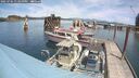 ./images/quadra/hbidock/20250704/hbidock20250704_132010M.jpg