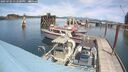 ./images/quadra/hbidock/20250704/hbidock20250704_132500M.jpg