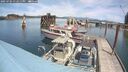 ./images/quadra/hbidock/20250704/hbidock20250704_132511M.jpg