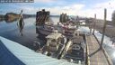 ./images/quadra/hbidock/20250705/hbidock20250705_080000M.jpg