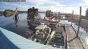 ./images/quadra/hbidock/20250705/hbidock20250705_080500M.jpg