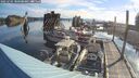./images/quadra/hbidock/20250705/hbidock20250705_080509M.jpg