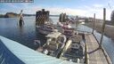 ./images/quadra/hbidock/20250705/hbidock20250705_083009M.jpg