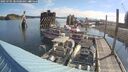 ./images/quadra/hbidock/20250705/hbidock20250705_084000M.jpg