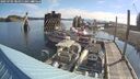 ./images/quadra/hbidock/20250705/hbidock20250705_084011M.jpg