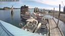 ./images/quadra/hbidock/20250705/hbidock20250705_091011M.jpg