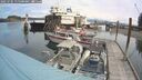 ./images/quadra/hbidock/20250705/hbidock20250705_115500M.jpg