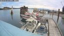 ./images/quadra/hbidock/20250705/hbidock20250705_121510M.jpg