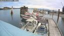 ./images/quadra/hbidock/20250705/hbidock20250705_122001M.jpg