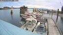 ./images/quadra/hbidock/20250705/hbidock20250705_122011M.jpg
