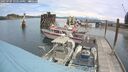 ./images/quadra/hbidock/20250705/hbidock20250705_122510M.jpg