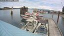./images/quadra/hbidock/20250705/hbidock20250705_130501M.jpg