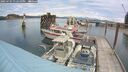 ./images/quadra/hbidock/20250705/hbidock20250705_132011M.jpg