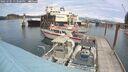./images/quadra/hbidock/20250705/hbidock20250705_133508M.jpg