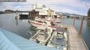 ./images/quadra/hbidock/20250705/hbidock20250705_152510M.jpg