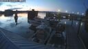 ./images/quadra/hbidock/20250705/hbidock20250705_222008M.jpg