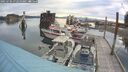 ./images/quadra/hbidock/20250706/hbidock20250706_072010M.jpg