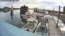 ./images/quadra/hbidock/20250706/hbidock20250706_074011M.jpg