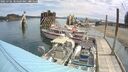 ./images/quadra/hbidock/20250706/hbidock20250706_104509M.jpg