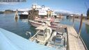 ./images/quadra/hbidock/20250706/hbidock20250706_133011M.jpg