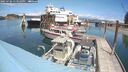 ./images/quadra/hbidock/20250706/hbidock20250706_133510M.jpg