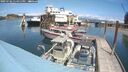 ./images/quadra/hbidock/20250706/hbidock20250706_134011M.jpg