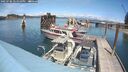 ./images/quadra/hbidock/20250706/hbidock20250706_141009M.jpg