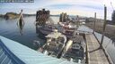 ./images/quadra/hbidock/20250707/hbidock20250707_085509M.jpg