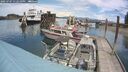 ./images/quadra/hbidock/20250707/hbidock20250707_132510M.jpg