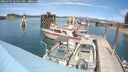 ./images/quadra/hbidock/20250707/hbidock20250707_143011M.jpg