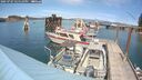 ./images/quadra/hbidock/20250707/hbidock20250707_145510M.jpg