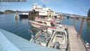 ./images/quadra/hbidock/20250707/hbidock20250707_151511M.jpg