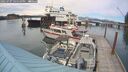./images/quadra/hbidock/20250707/hbidock20250707_165510M.jpg