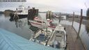 ./images/quadra/hbidock/20250708/hbidock20250708_081011M.jpg
