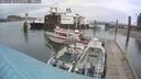 ./images/quadra/hbidock/20250708/hbidock20250708_135510M.jpg