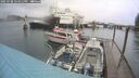 ./images/quadra/hbidock/20250708/hbidock20250708_154011M.jpg