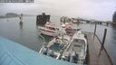 ./images/quadra/hbidock/20250708/hbidock20250708_165010M.jpg