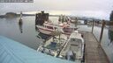 ./images/quadra/hbidock/20250709/hbidock20250709_070509M.jpg