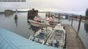 ./images/quadra/hbidock/20250709/hbidock20250709_071011M.jpg