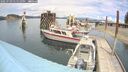 ./images/quadra/hbidock/20250709/hbidock20250709_135509M.jpg