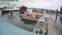 ./images/quadra/hbidock/20250709/hbidock20250709_151011M.jpg