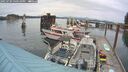 ./images/quadra/hbidock/20250709/hbidock20250709_160509M.jpg