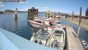 ./images/quadra/hbidock/20250710/hbidock20250710_144011M.jpg