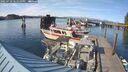 ./images/quadra/hbidock/20250710/hbidock20250710_181010M.jpg